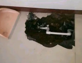 墨玉卫生间测漏水多少钱
